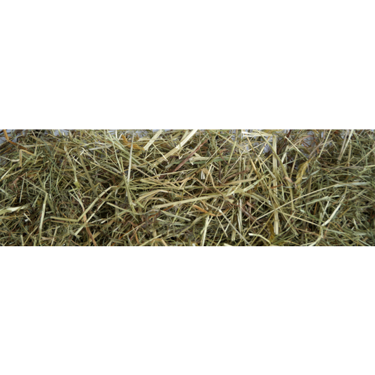 Little Pet Bergwiesen-Kräuterheu m. 5 % Brennnessel 500 g