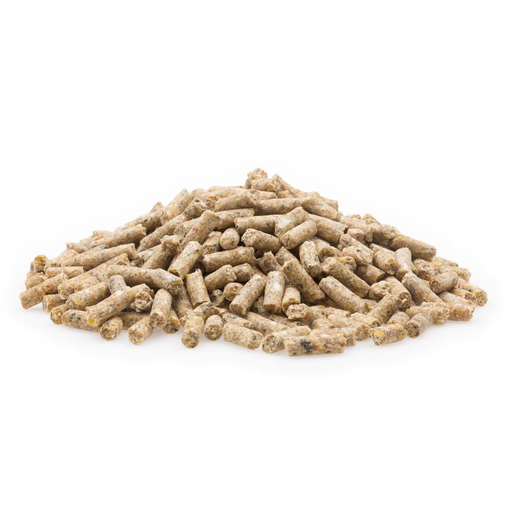 mifuma Legekorn Premium 25kg