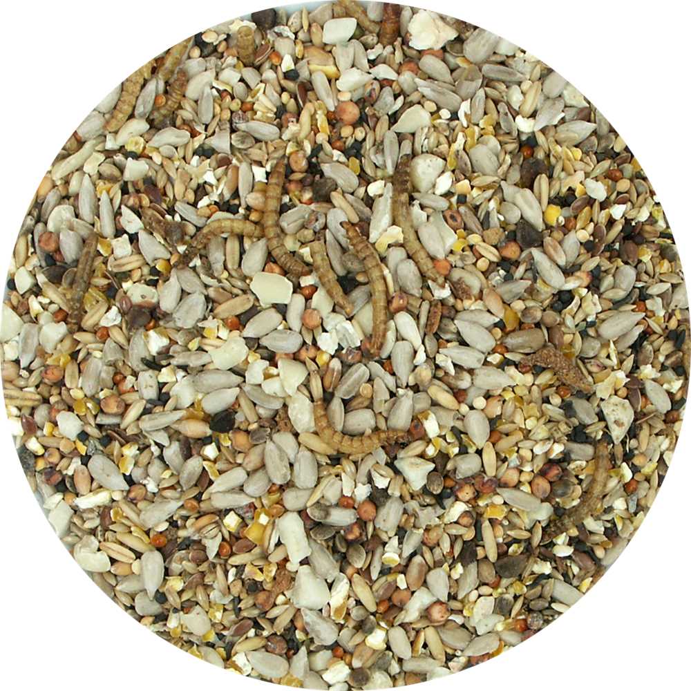My Bird Feine Körnerwintermischung mit Insekten