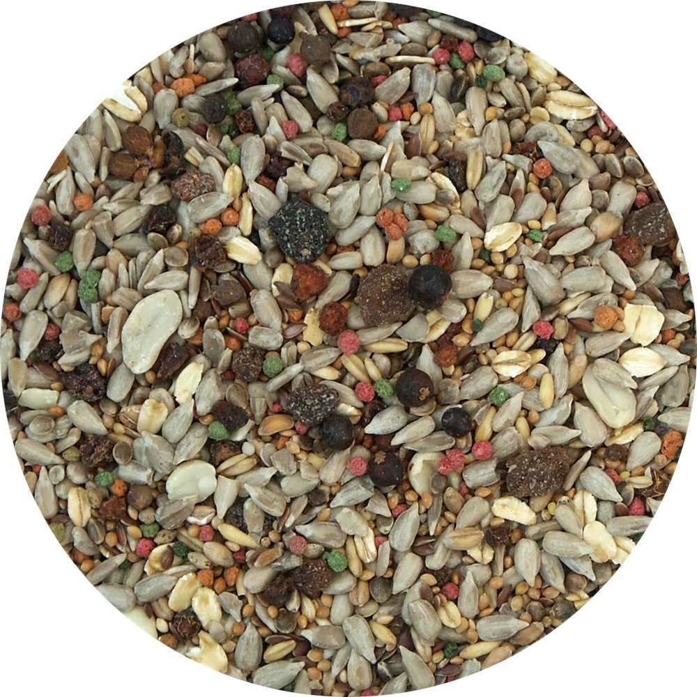 My Bird Wintertraum Frucht-Fit