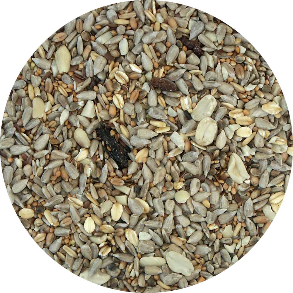 My Bird Wintertraum Müsli-Fit