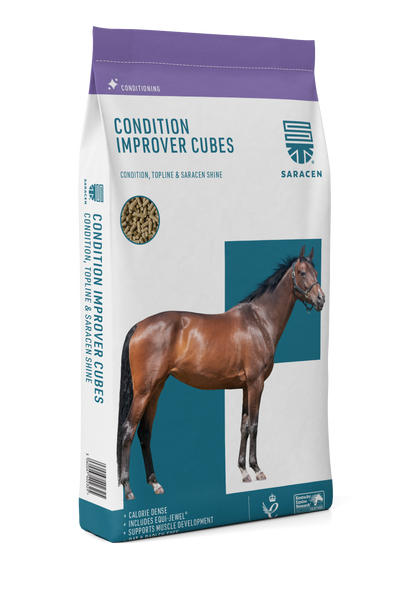 Saracen Condition Improver Cubes 20kg
