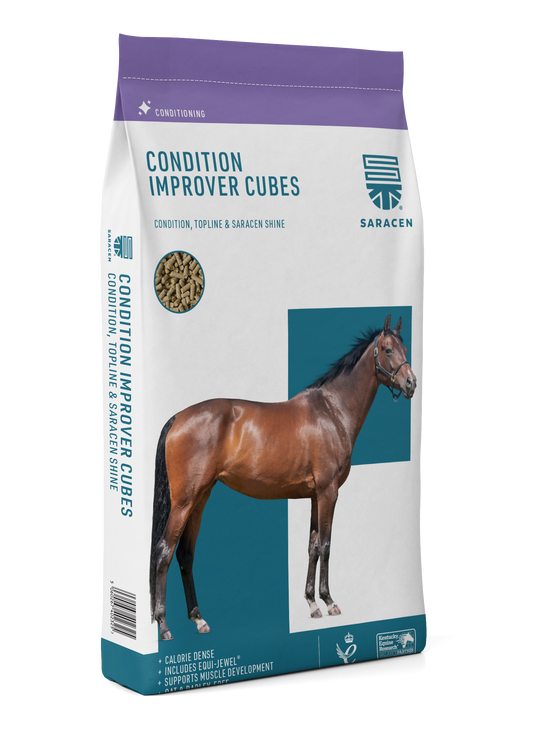 Saracen Condition Improver Cubes 20kg
