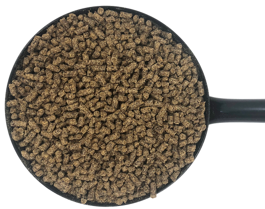 D&H CushCare Condition