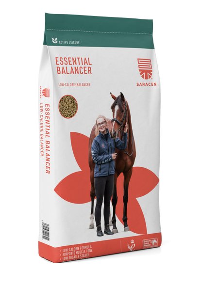Saracen Essential Balancer 20kg