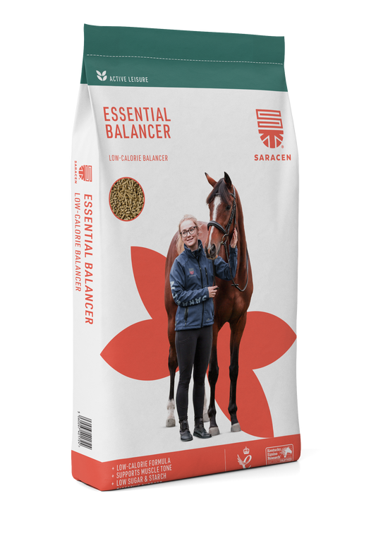 Saracen Essential Balancer 20kg