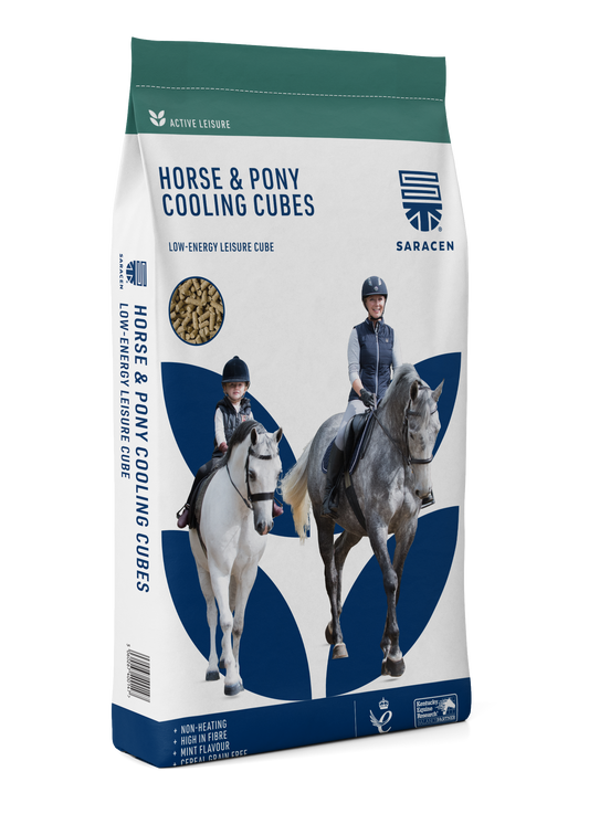 Saracen Horse & Pony Cooling Cubes 20kg