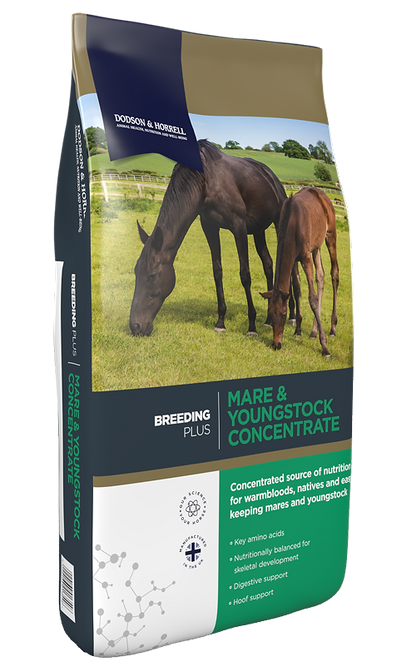 D&H Mare & Youngstock Concentrate