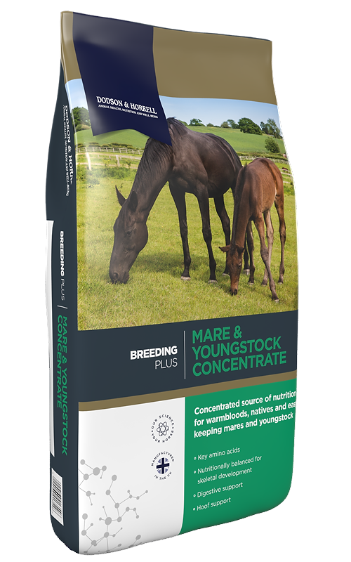 D&H Mare & Youngstock Concentrate