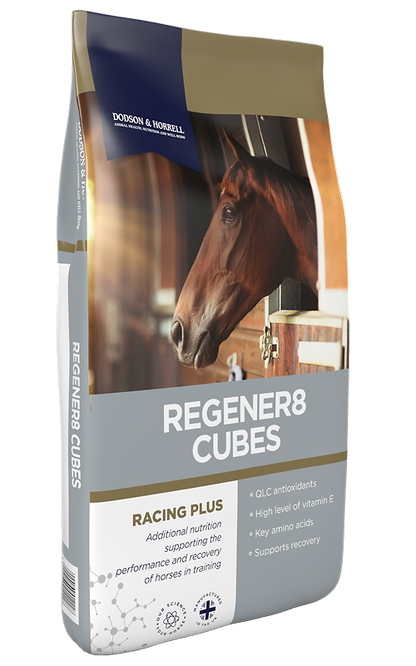 D&H ReGener8 Cubes
