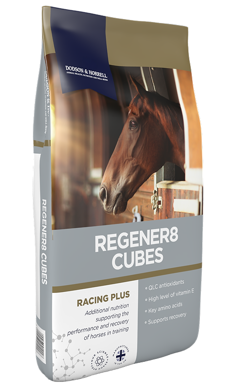 D&H ReGener8 Cubes