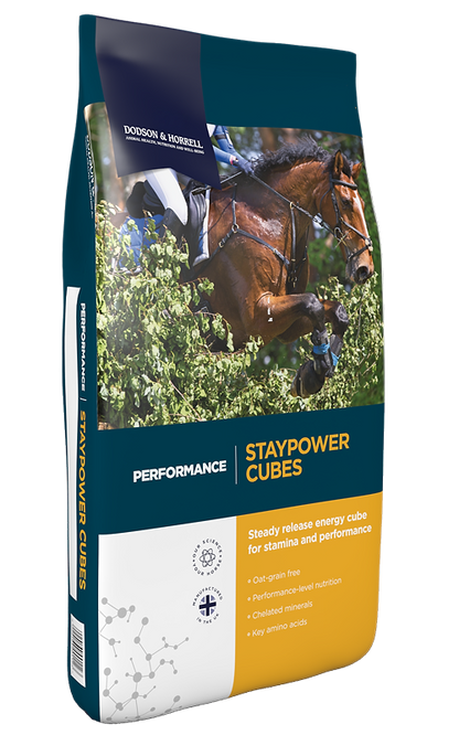 D&H Staypower Cubes