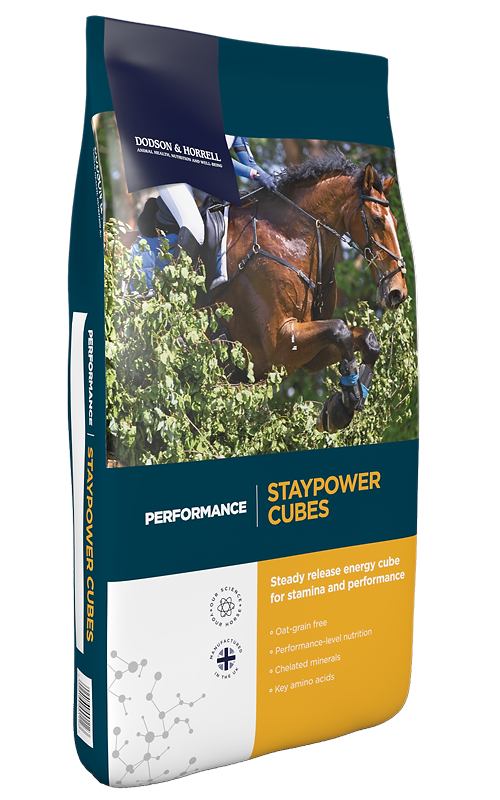 D&H Staypower Cubes