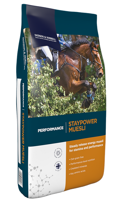 D&H Staypower Müsli