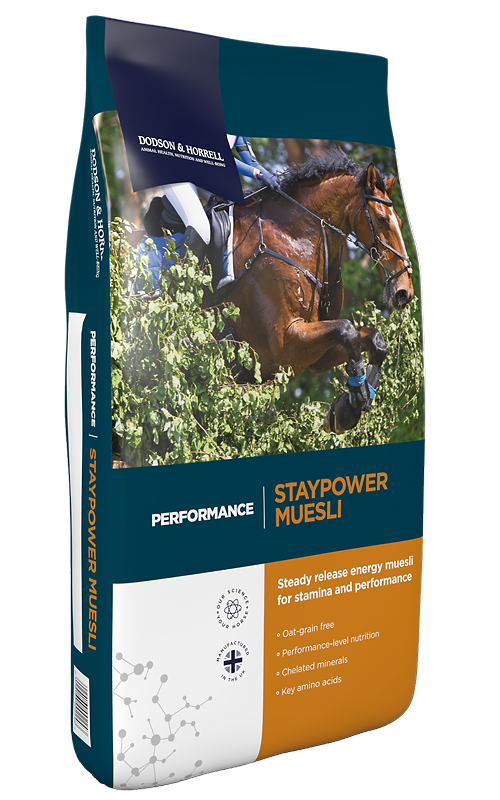 D&H Staypower Müsli
