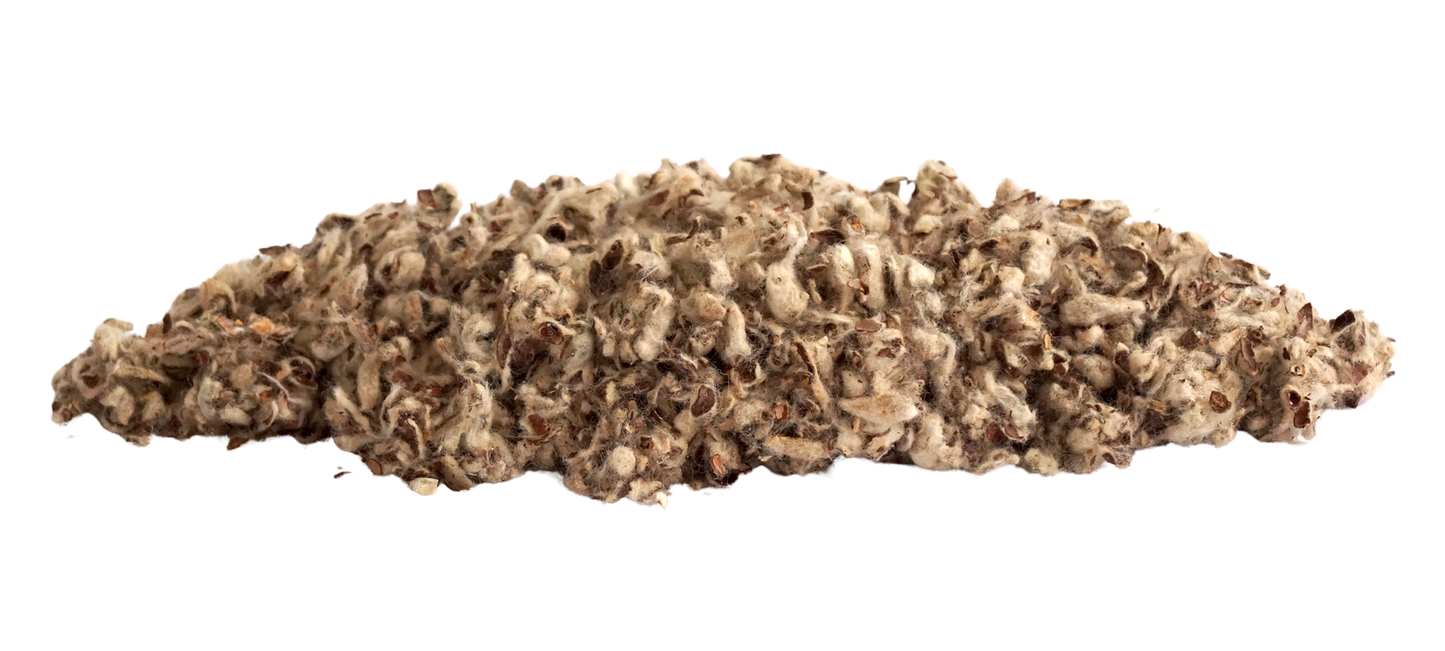 Little Pet Premium Baumwolleinstreu