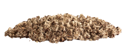 Little Pet Premium Baumwolleinstreu