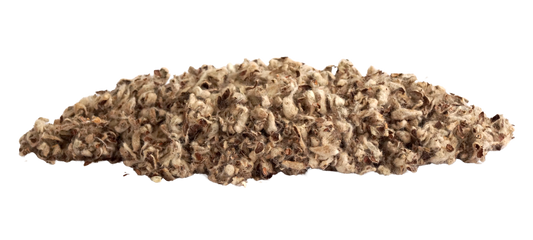 Little Pet Premium Baumwolleinstreu