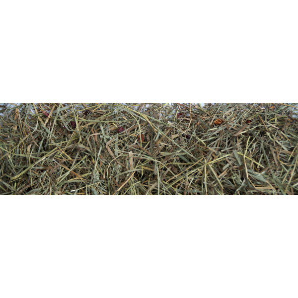 Little Pet Bergwiesen-Kräuterheu m. 6 % Apfel & Hagebutte 500 g