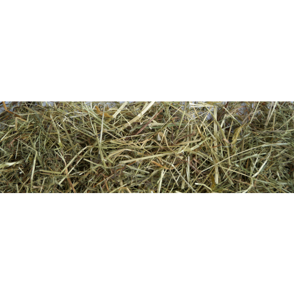 Little Pet Bergwiesen-Kräuterheu m. 5 % Brennnessel 500 g