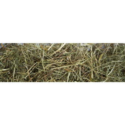 Little Pet Bergwiesen-Kräuterheu m. 5 % Brennnessel 500 g