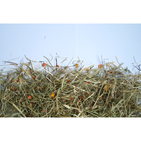 Little Pet Bergwiesen-Kräuterheu m. 6 % Karotte & Kürbis 500 g