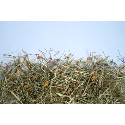 Little Pet Bergwiesen-Kräuterheu m. 6 % Karotte & Kürbis 500 g