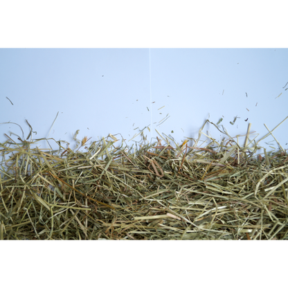 Little Pet Bergwiesen-Kräuterheu m. 3 % Minze 500 g