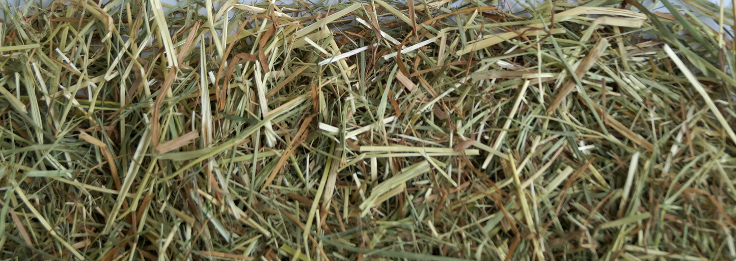 Little Pet Bergwiesen-Kräuterheu
