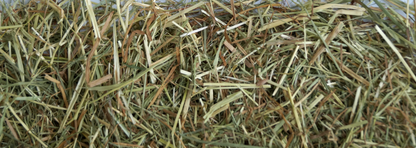 Little Pet Bergwiesen-Kräuterheu
