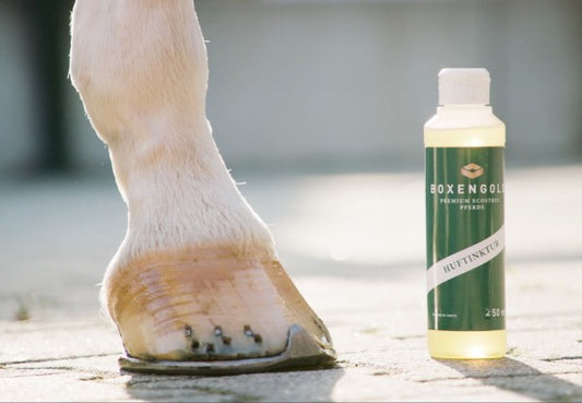 BOXENGOLD PREMIUM ECOSTREU PFERDE HUFTINKTUR 0,25 Liter