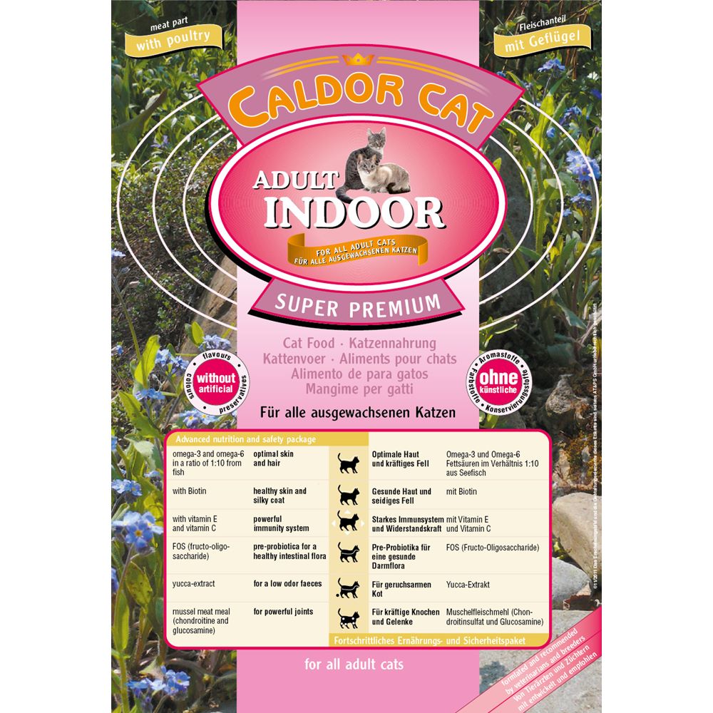 Caldor Adult Indoor