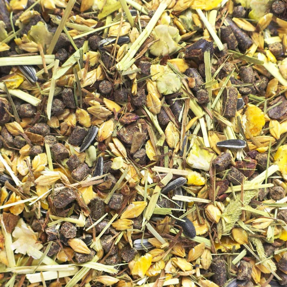 eohippos Black Type 20kg