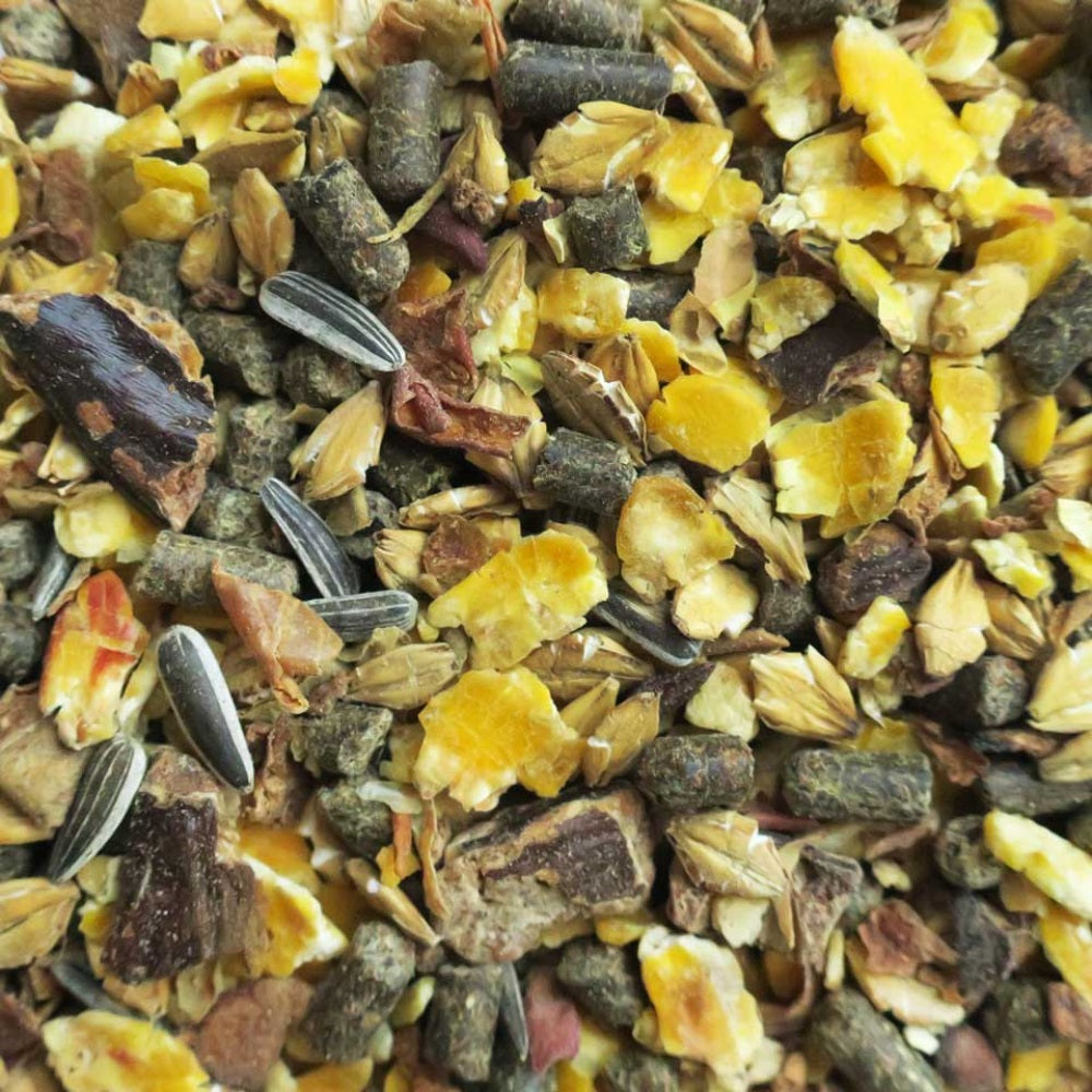 eohippos Indian Summer 20kg