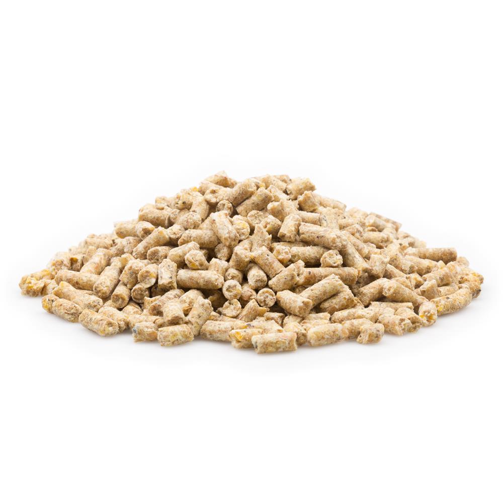 mifuma Junghähne Premium (Korn) 25kg