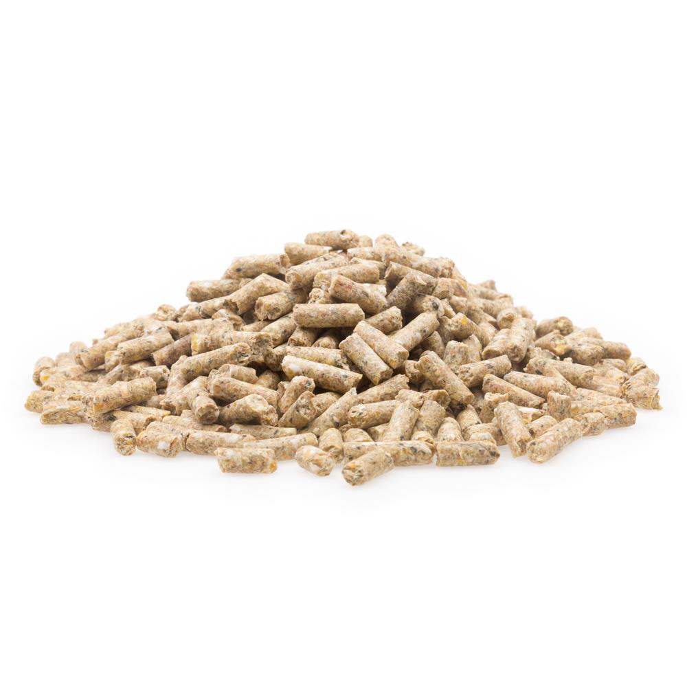 mifuma Junghennen Premium (Korn) 25kg