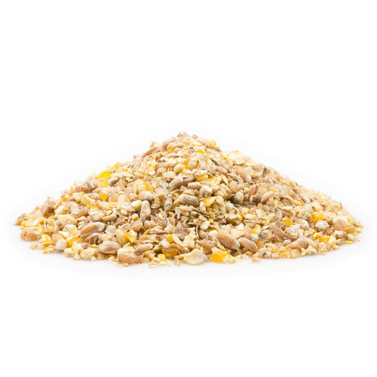 mifuma Junghennen Premium (Mehl) 25kg