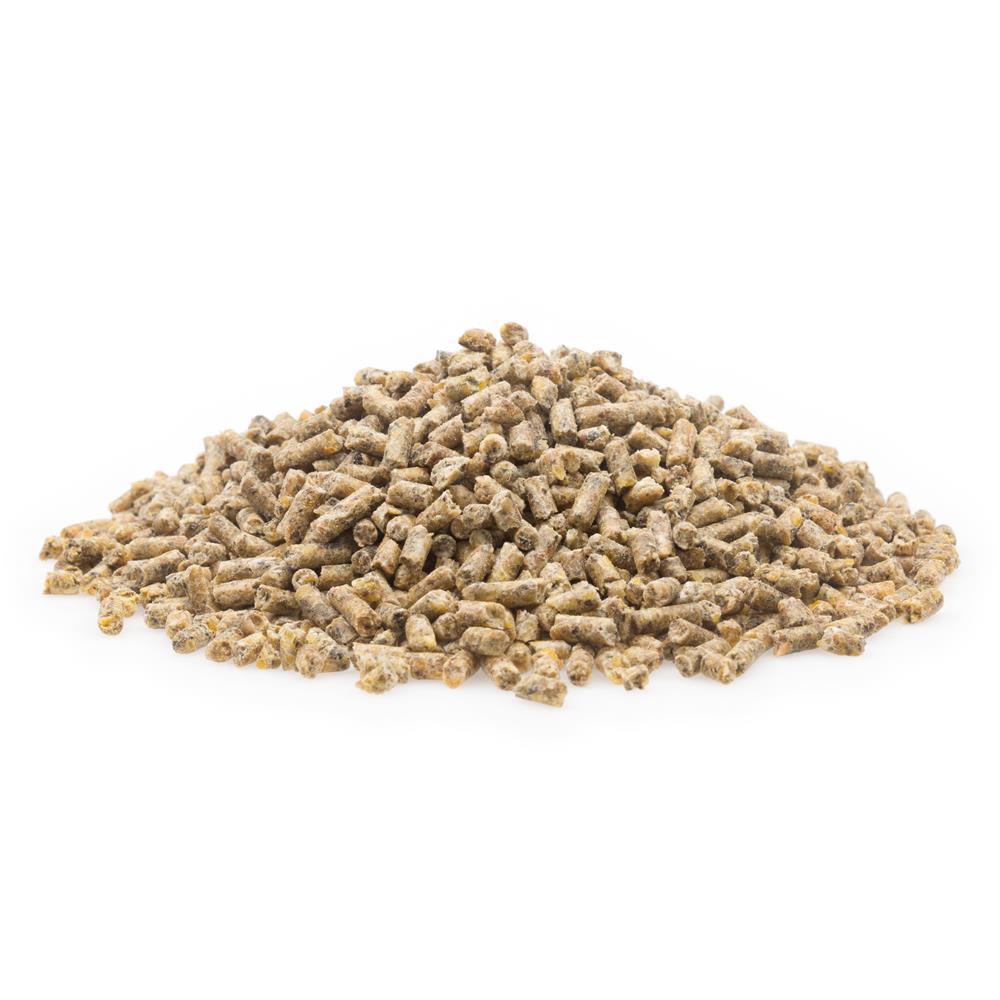 mifuma Kükenaufzucht Premium (Korn) 25kg