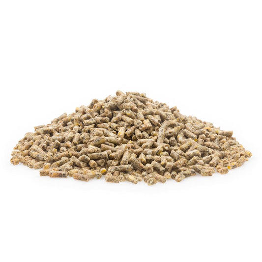 mifuma Puten Puten-Starter PS (Korn/Wirt.gefl.) 25kg