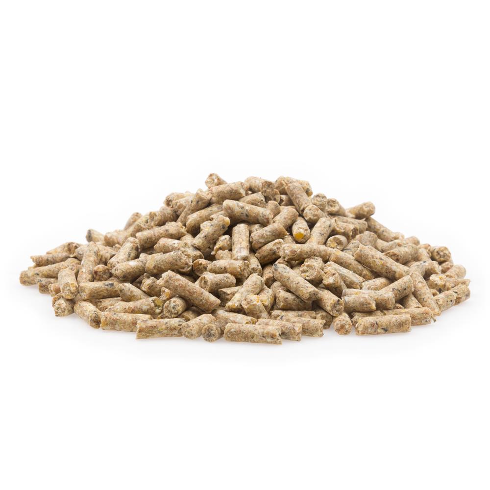 mifuma Zucht Premium (Korn) 25kg