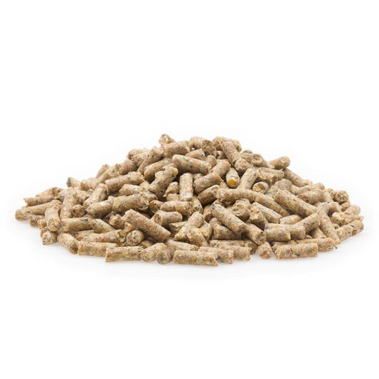 mifuma Zucht Premium (Korn) 25kg