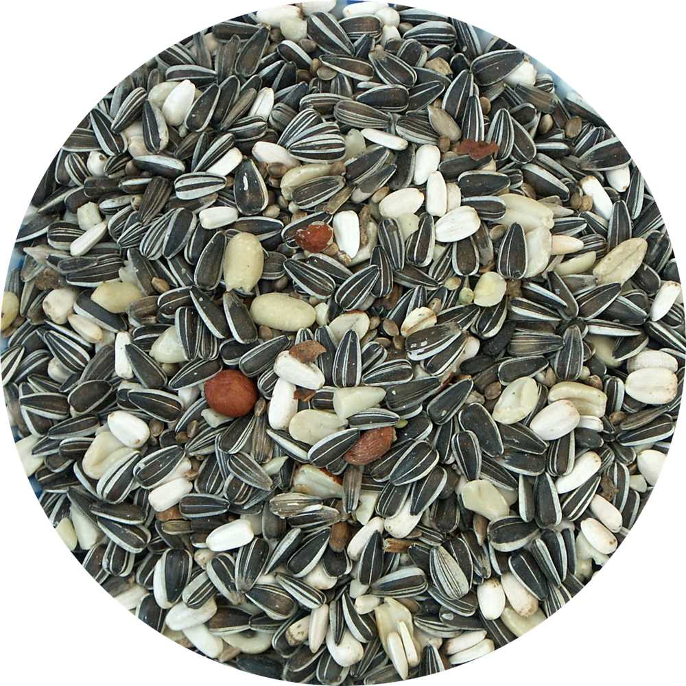 My Bird Meisenfutter-Mix Brilliant