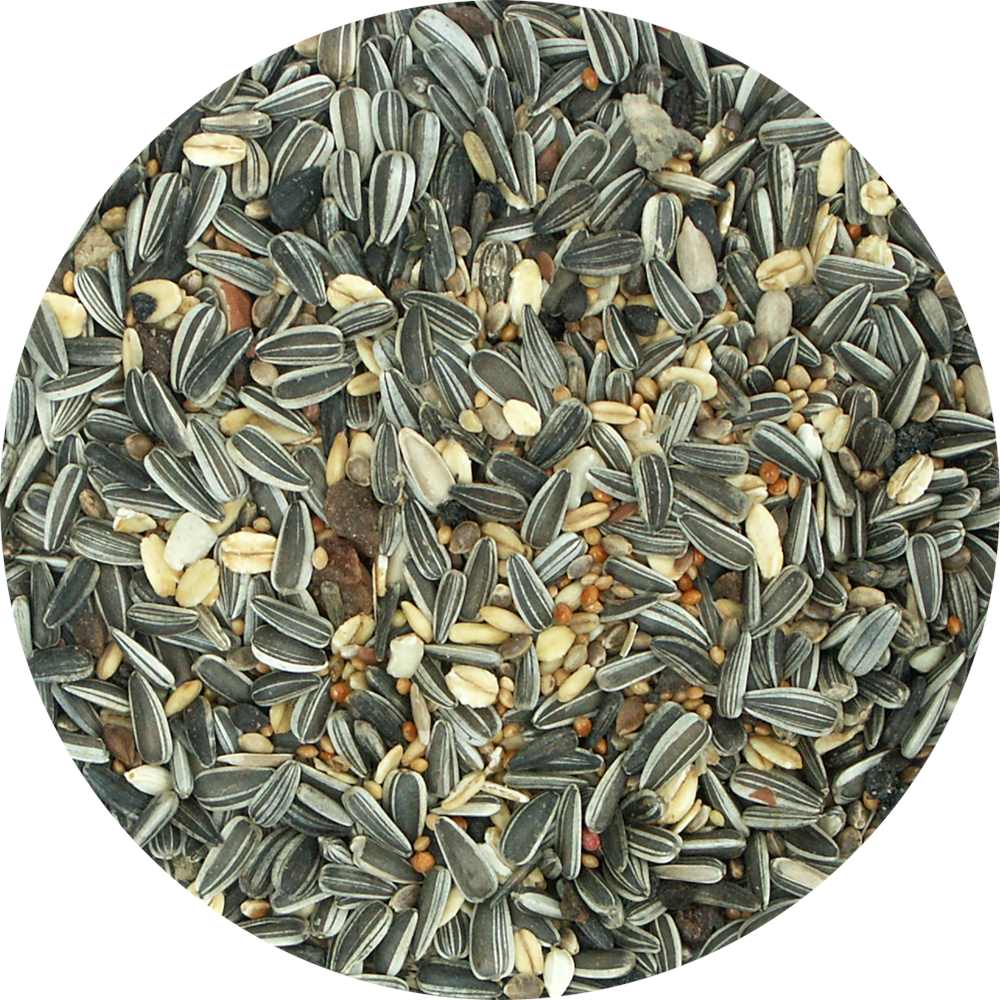 My Bird Winterfrucht-Mix mit der Extraportion an Früchten