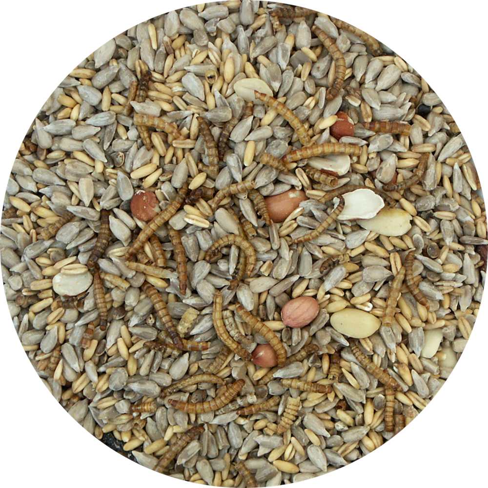 My Bird Wintermenü Deluxe mit Mehlwürmern weizenfrei
