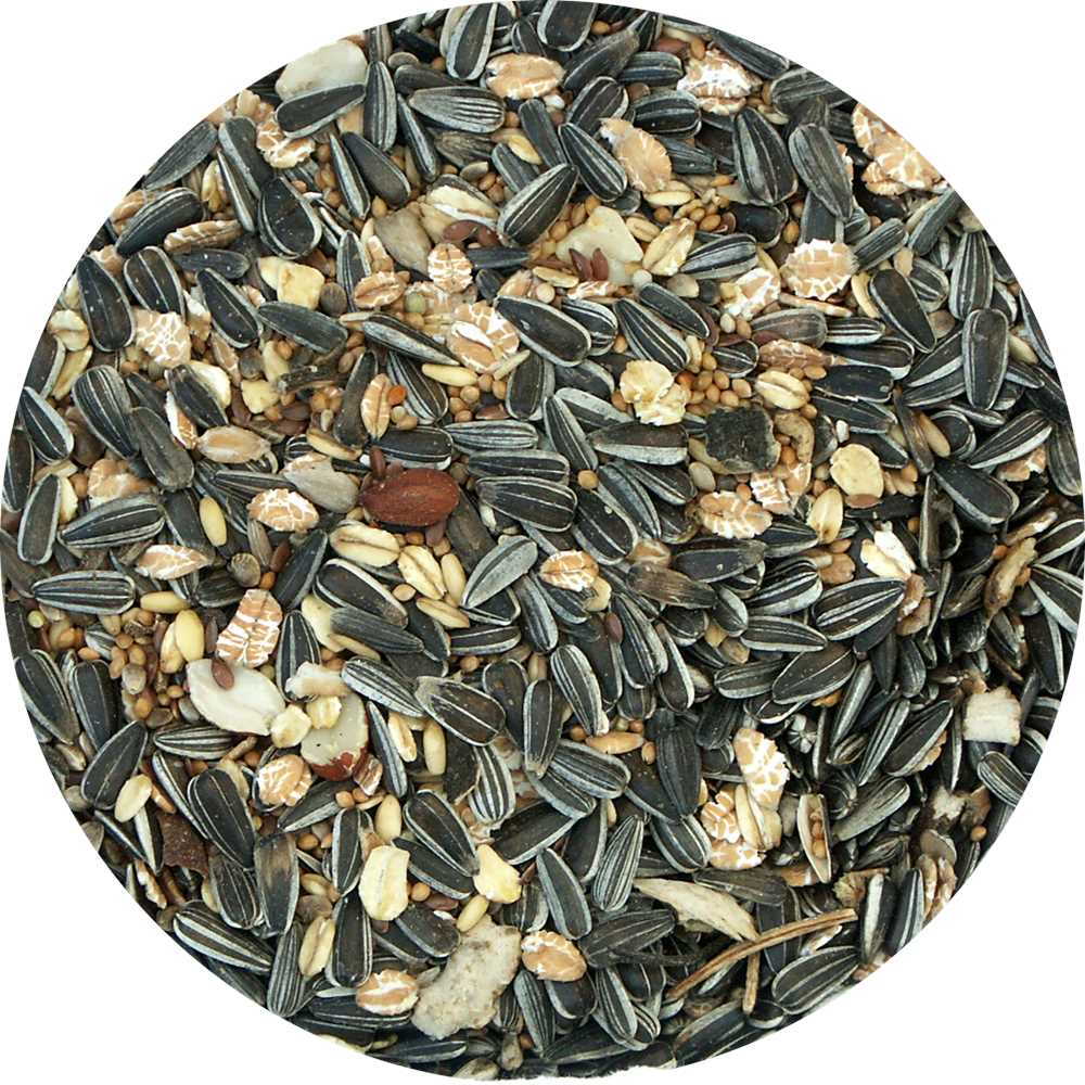 My Bird  Winterstreufutter Brilliant ohne Getreidekörner mit Dinkelflocken