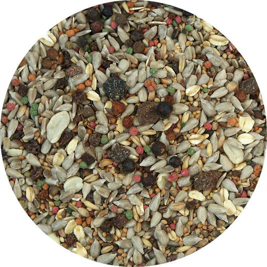 My Bird Wintertraum Frucht-Fit