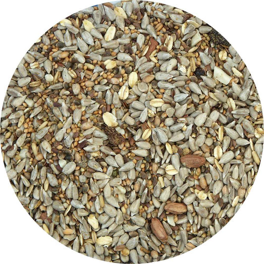 My Bird Wintertraum Insekten-Fit