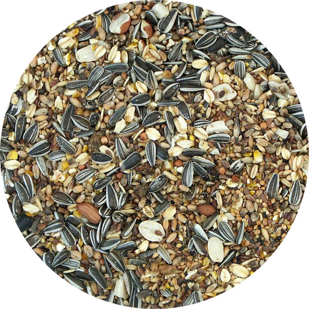 My Bird Wintertraum Insekten-Mix