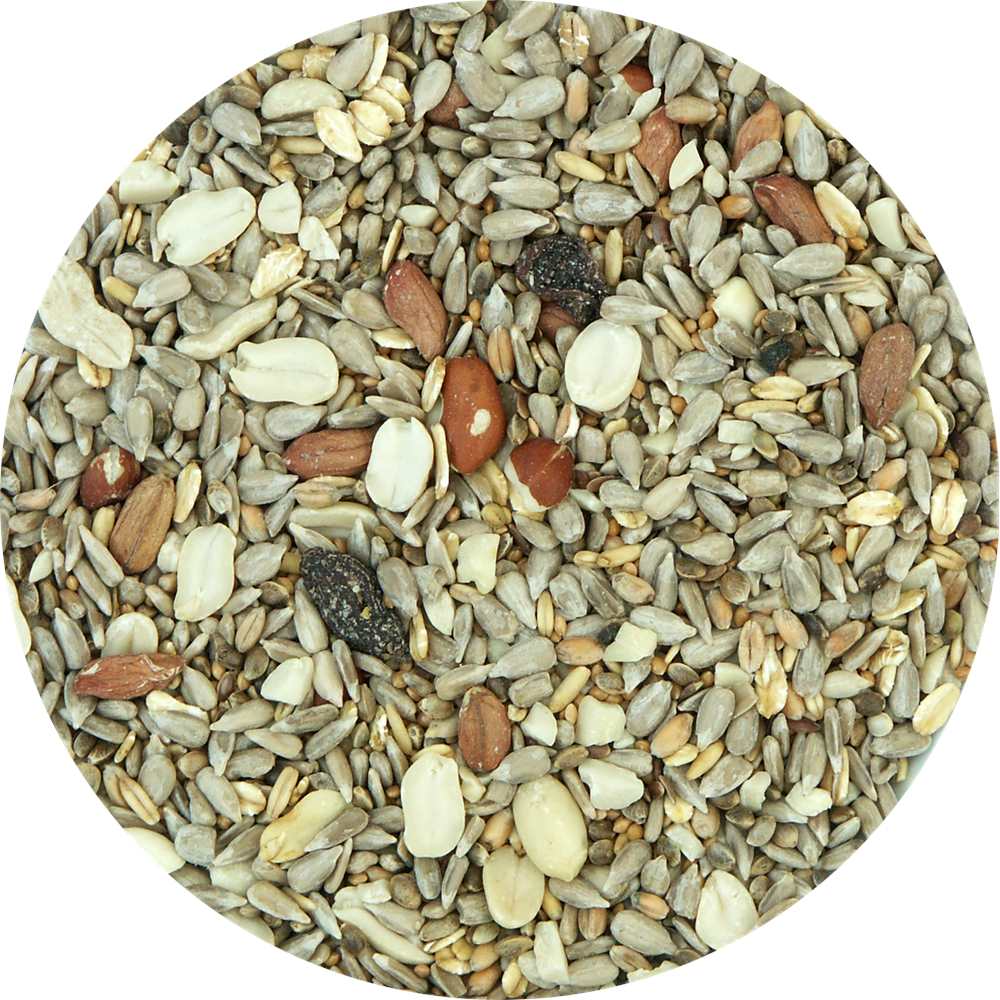 My Bird Wintertraum Nuss-Fit