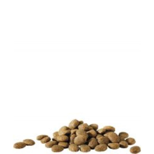 Versele Laga Essential Happy Life 20kg